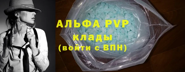 тгк Шали