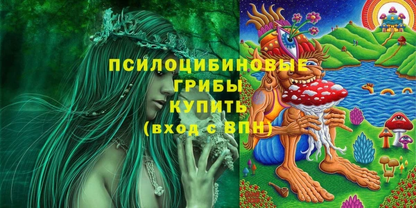 мдпв Горно-Алтайск