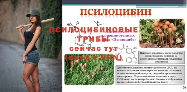 первитин Горнозаводск