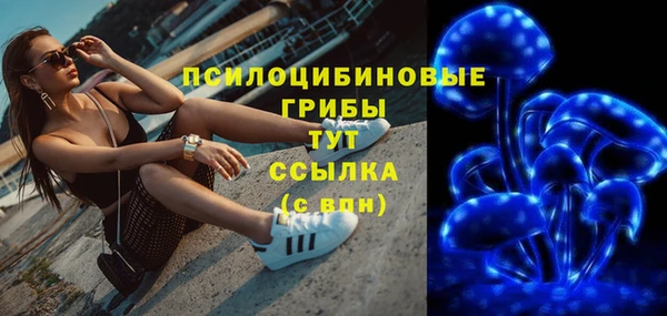 дурь Горняк