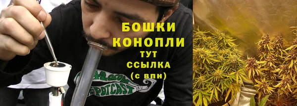 дурь Горняк