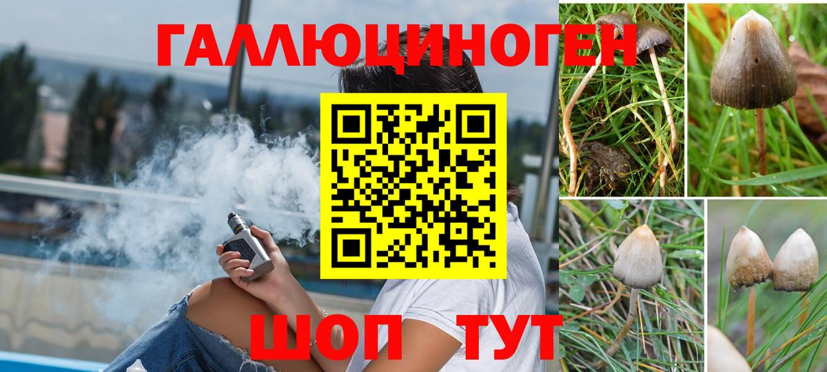 Обь  Галлюциногенные грибы ЛСД  Вход с VPN 