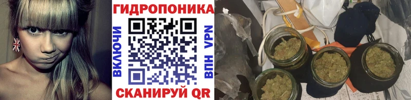 Каннабис Ganja  Обь 